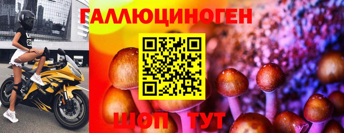 Славянск-на-Кубани  Галлюциногенные грибы ЛСД  Вход с VPN 
